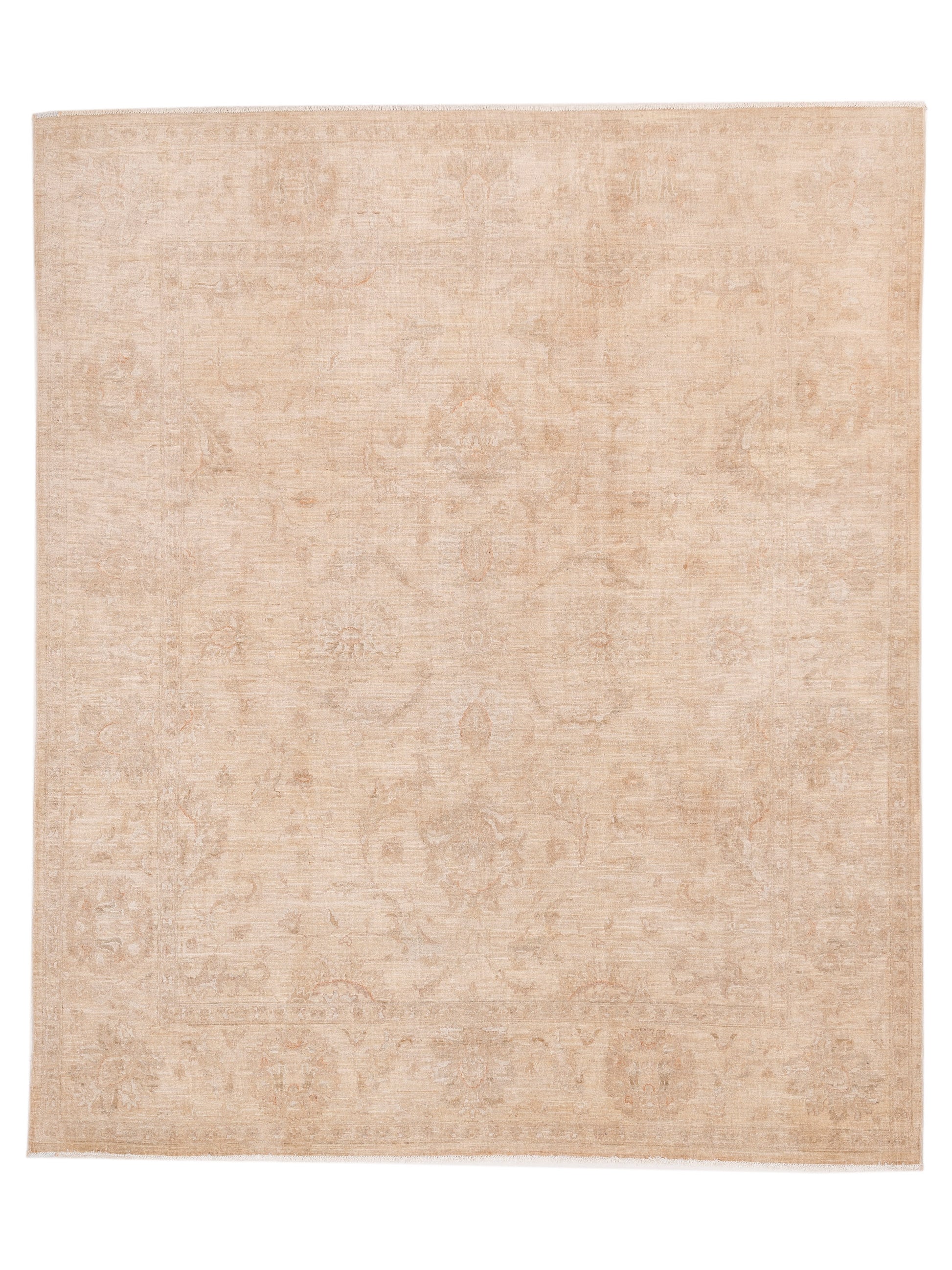 Pasha Sultan  Ivory Ivory Traditional