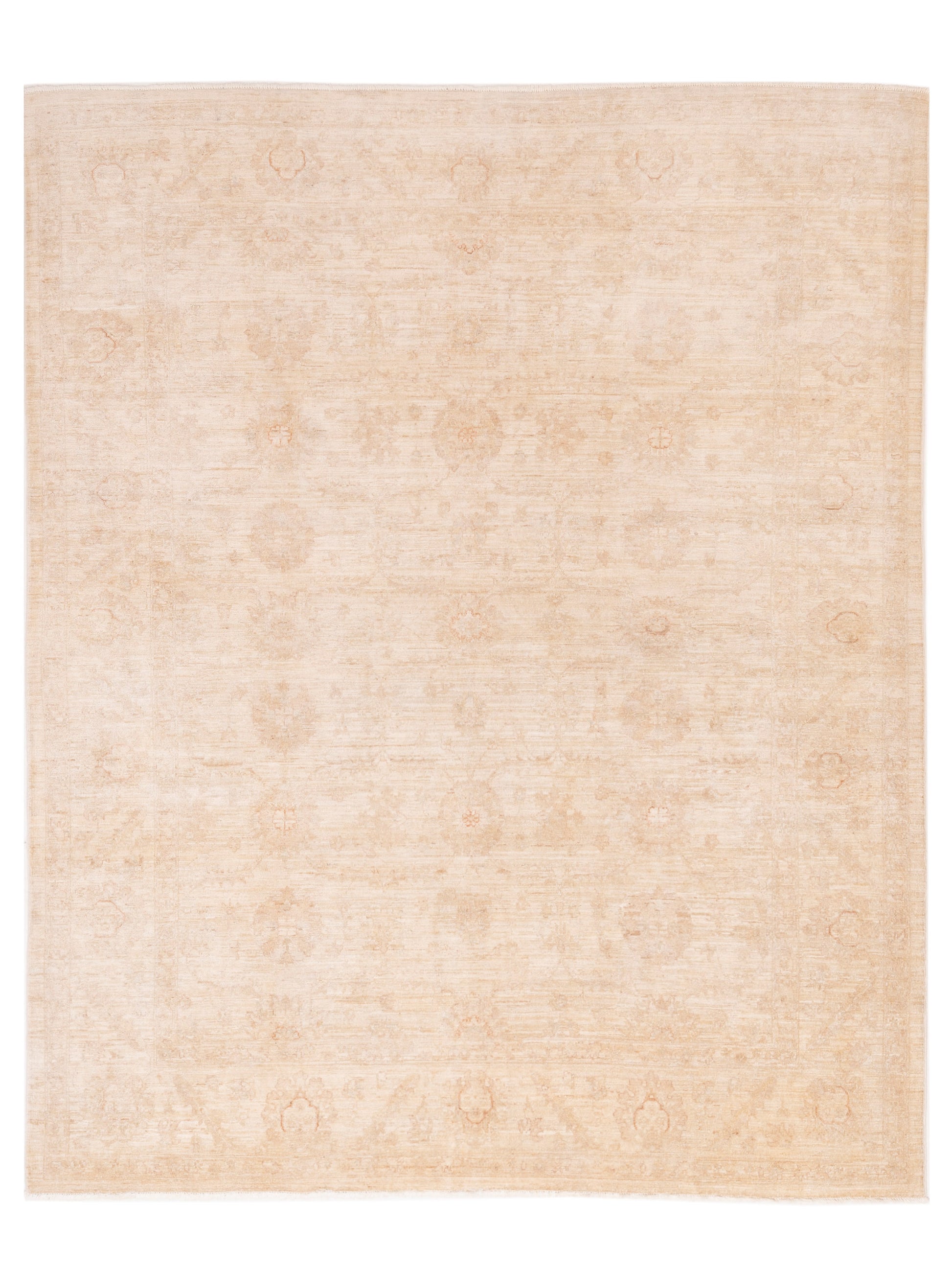 Pasha Sultan  Ivory Ivory Traditional