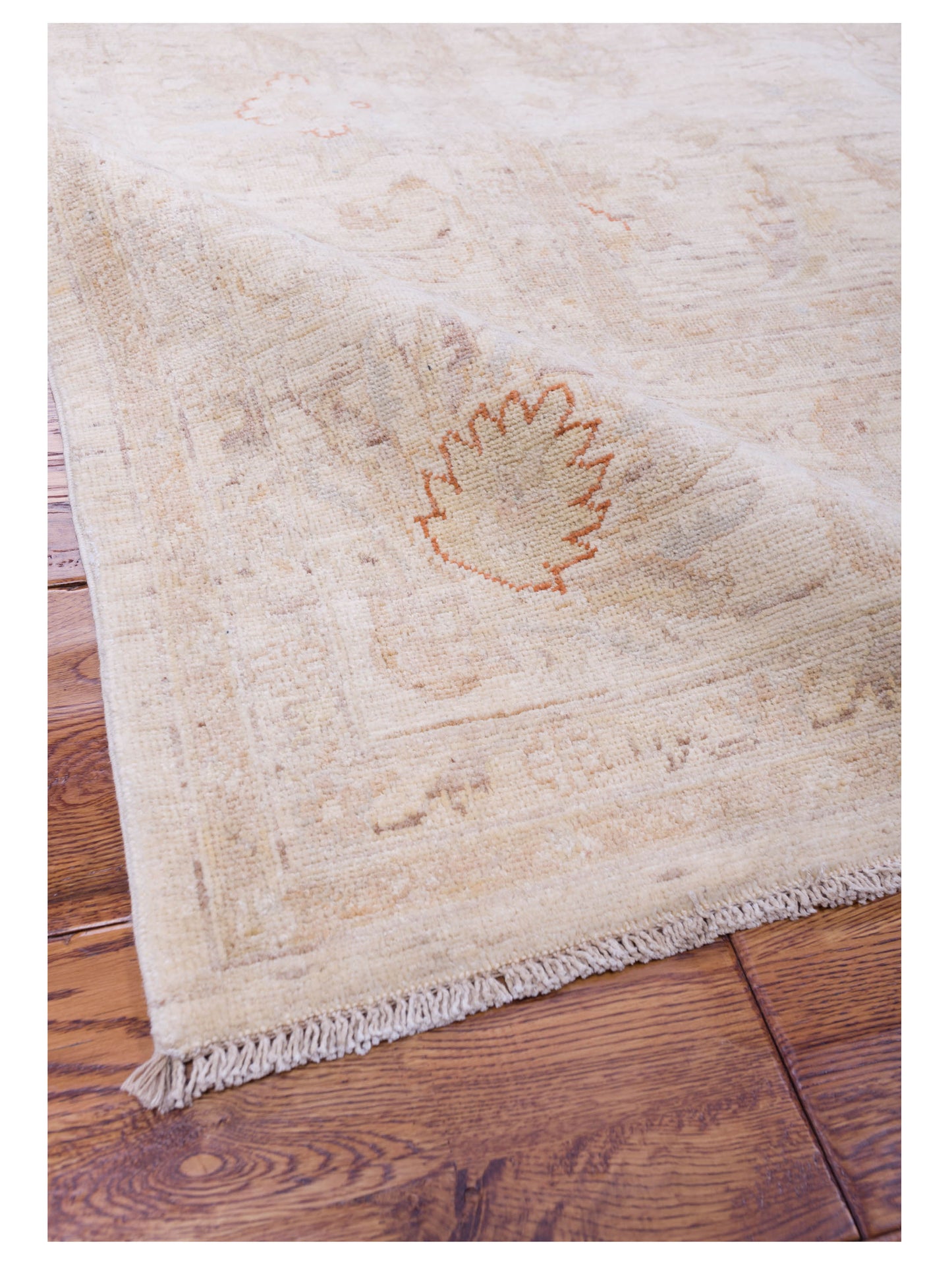 Sabira Ivory Ivory 8.2x9.11 Hand Knotted Rug