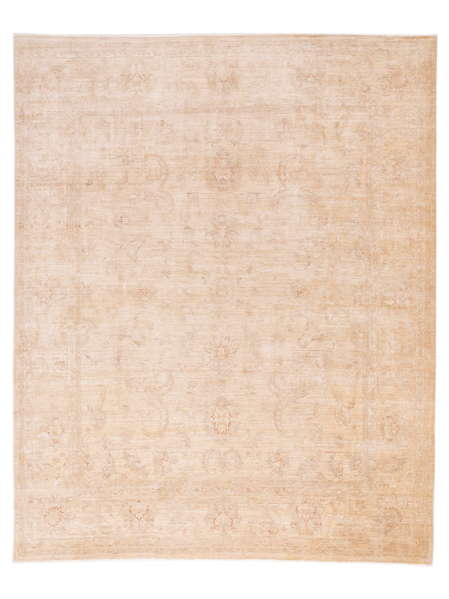 Pasha Sultan  Ivory Ivory Traditional