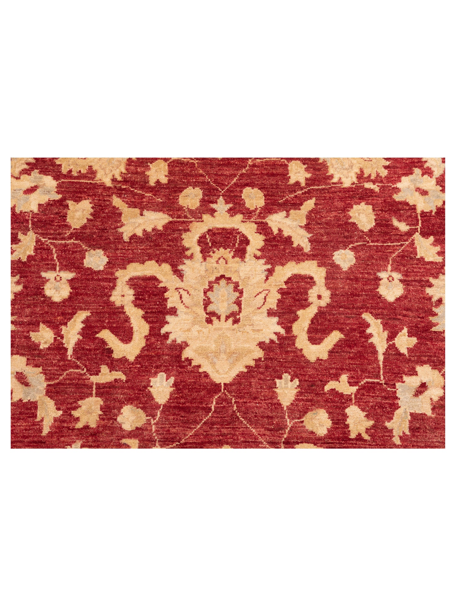 Sabira Red Ivory 4.11x6.7 Hand Knotted Rug