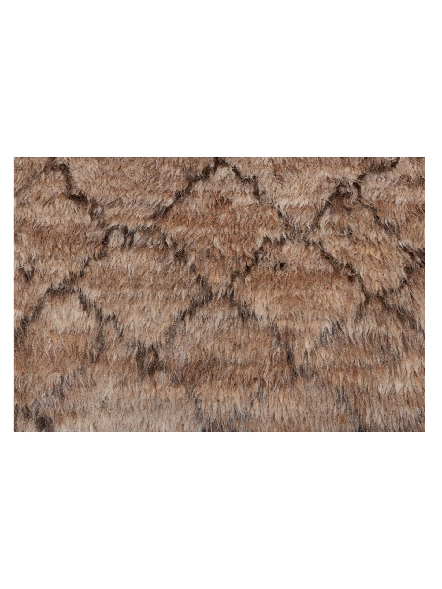 Baskra Brown Dark Brown 8.10x11 Hand Knotted Rug