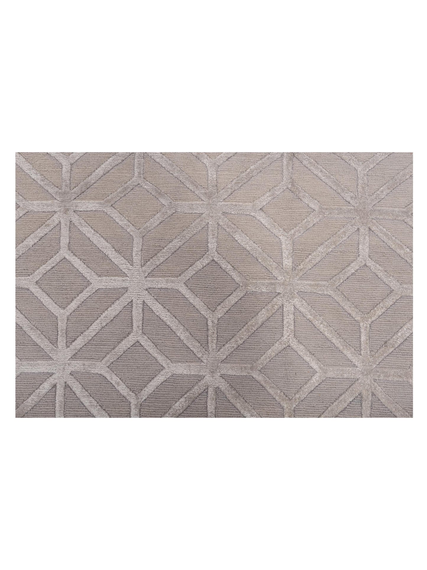 Tenzari Silver 8x10.3 Hand Knotted Rug