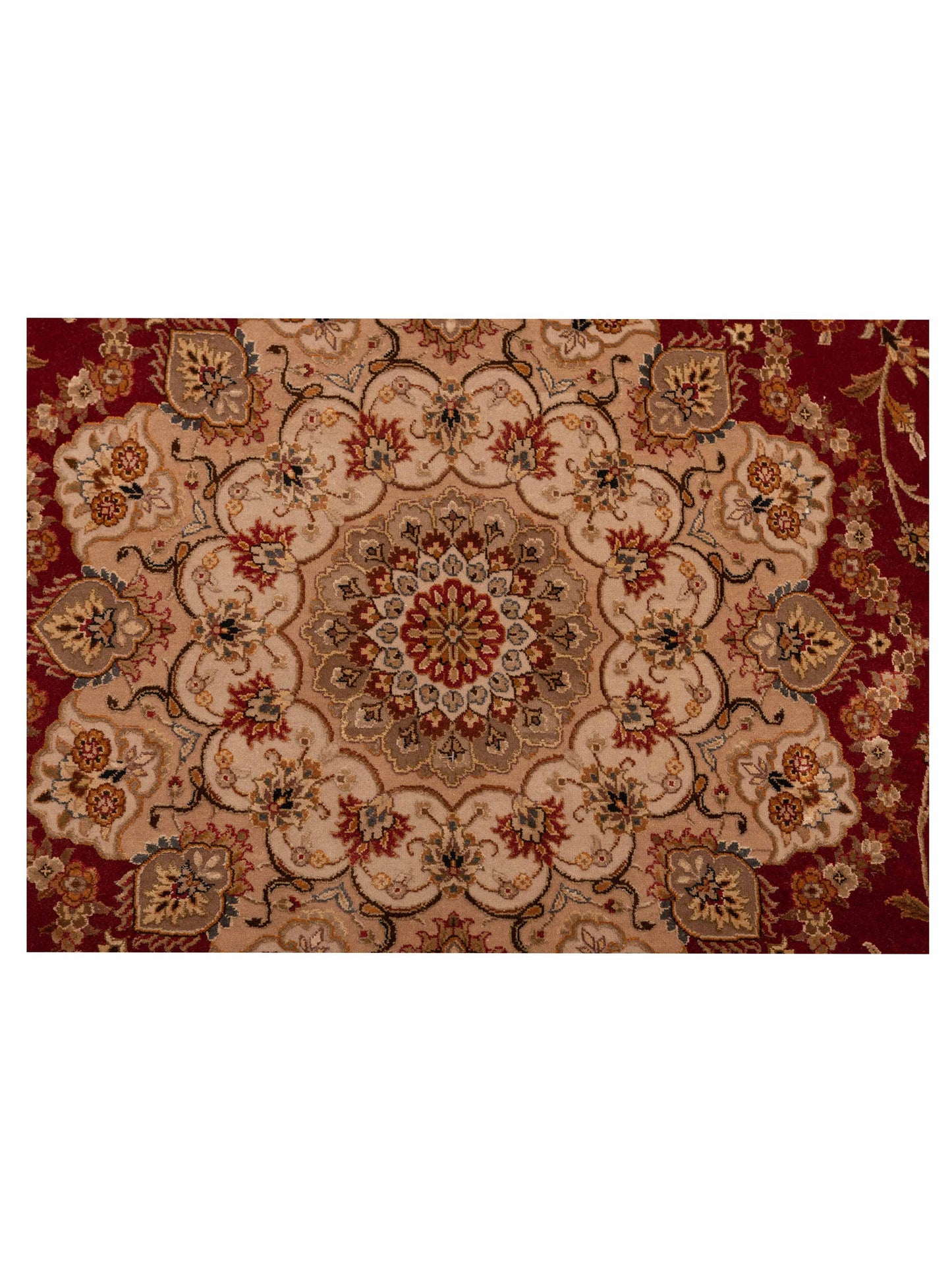Javira Silk Red Ivory 9x11.11 Hand Knotted Rug