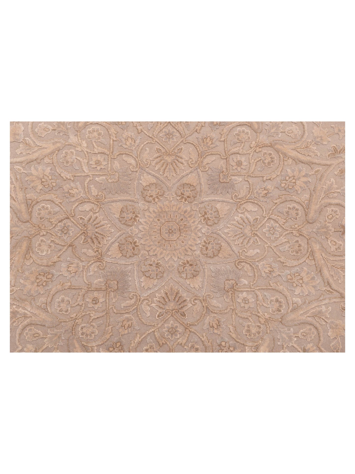 Javira Silk Silver 9.1x12.2 Hand Knotted Rug