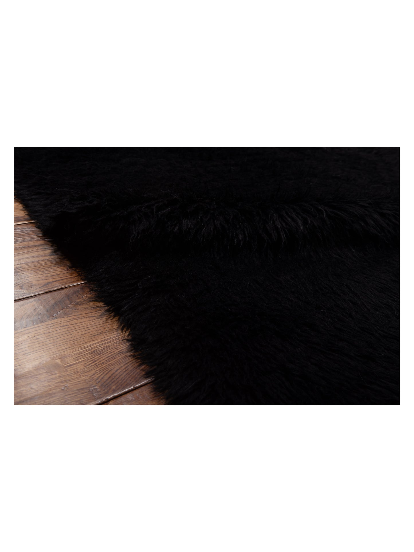 Baskra Black Black 11.9x15.2 Hand Knotted Rug