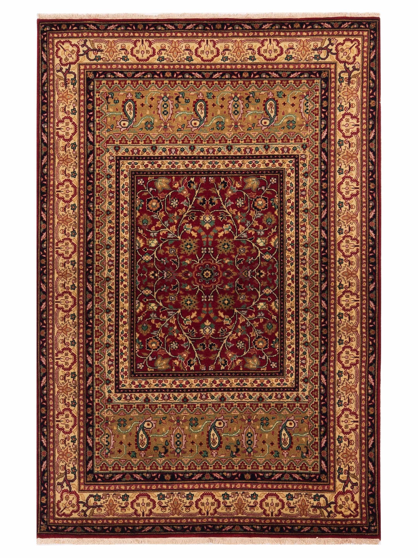 Rajpur Sivas  Red Ivory Traditional
