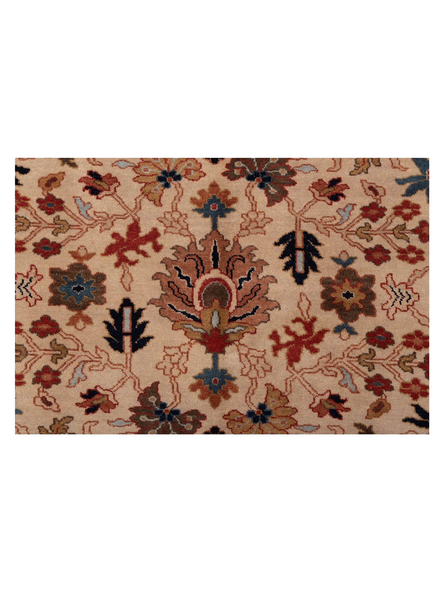 Corvella Ivory Navy 9x11.11 Hand Knotted Rug