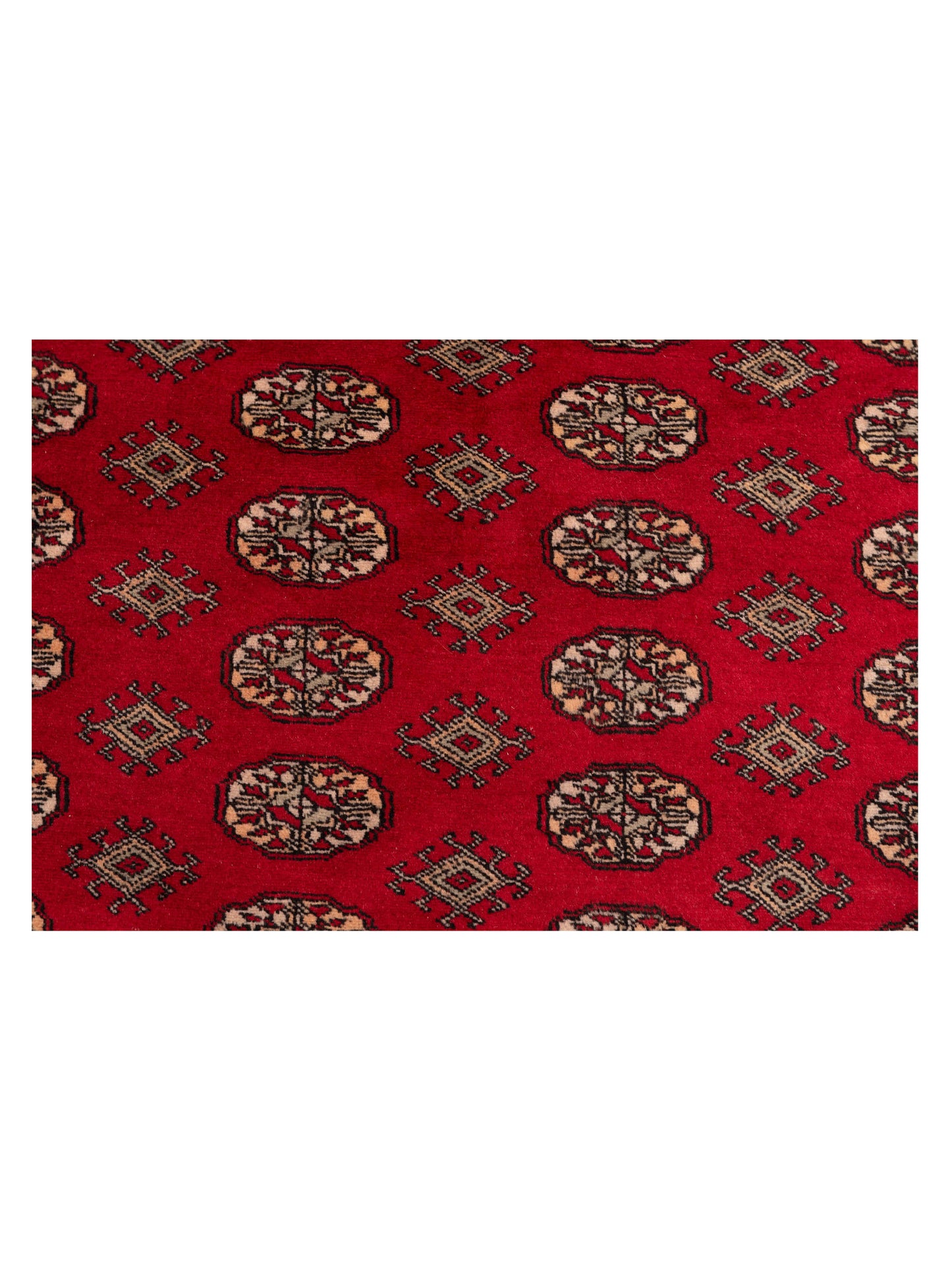 Bokhara Red 6.1x8.8 Hand Knotted Rug