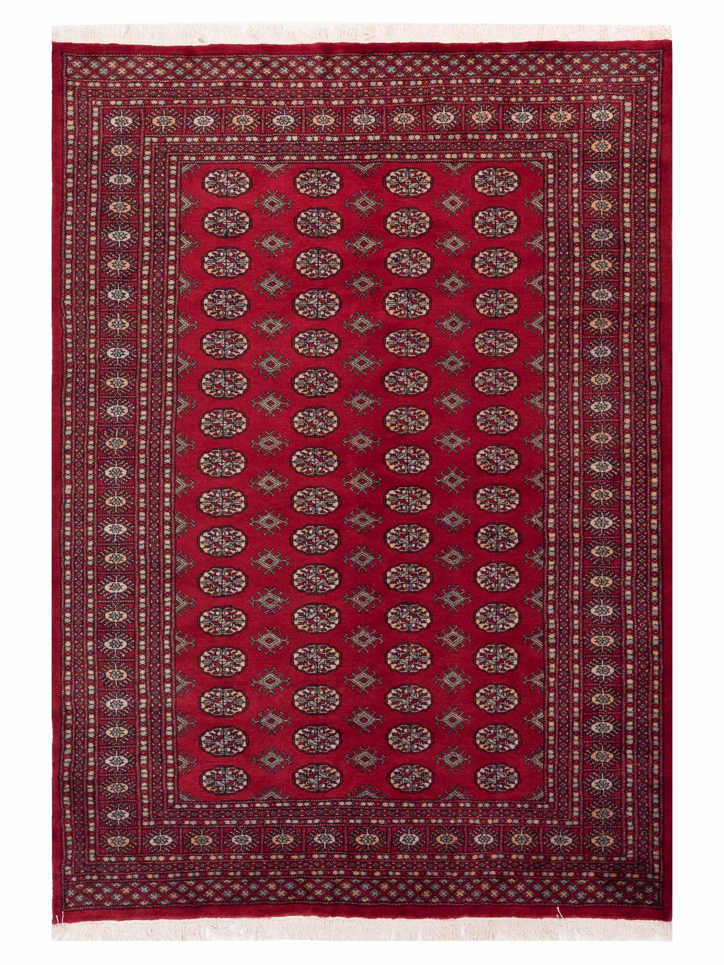 Nomad Bokhara  Red  Traditional