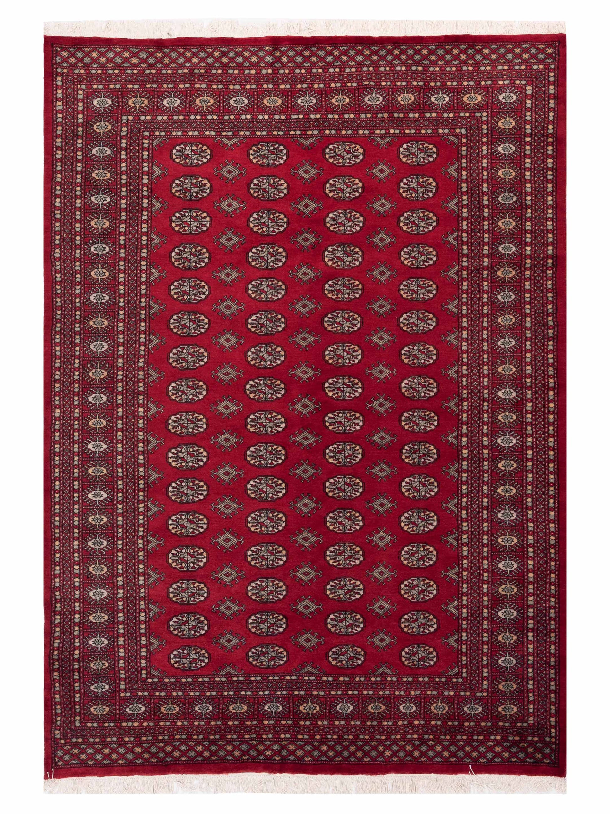 Nomad Bokhara  Red  Traditional