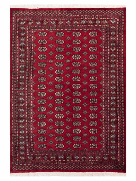 Nomad Bokhara  Red  Traditional