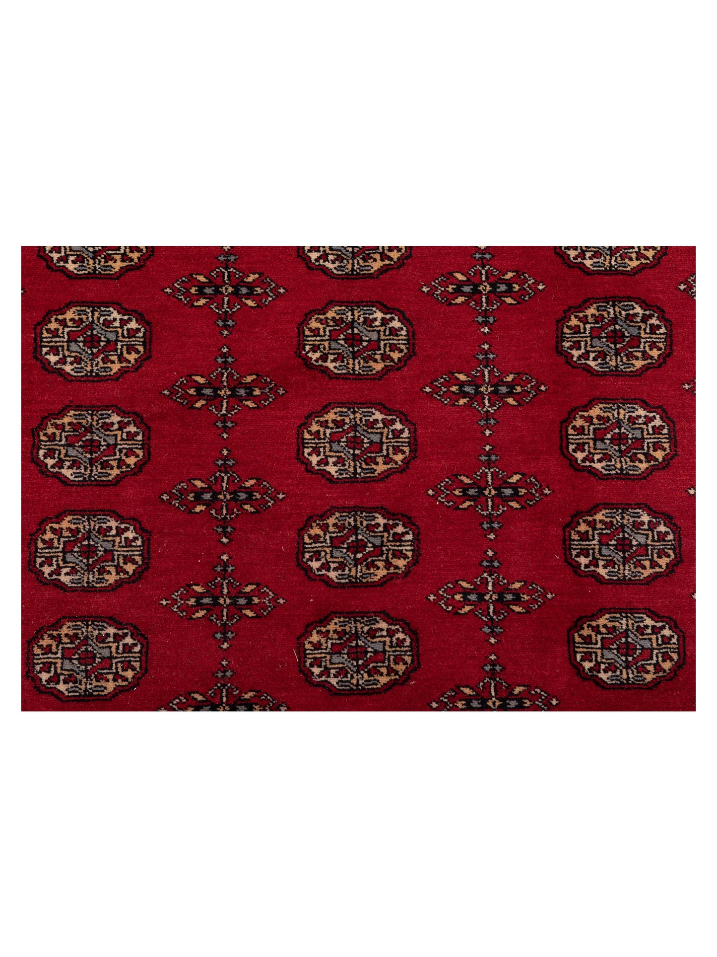 Bokhara Red Red 9.2x11.6 Hand Knotted Rug