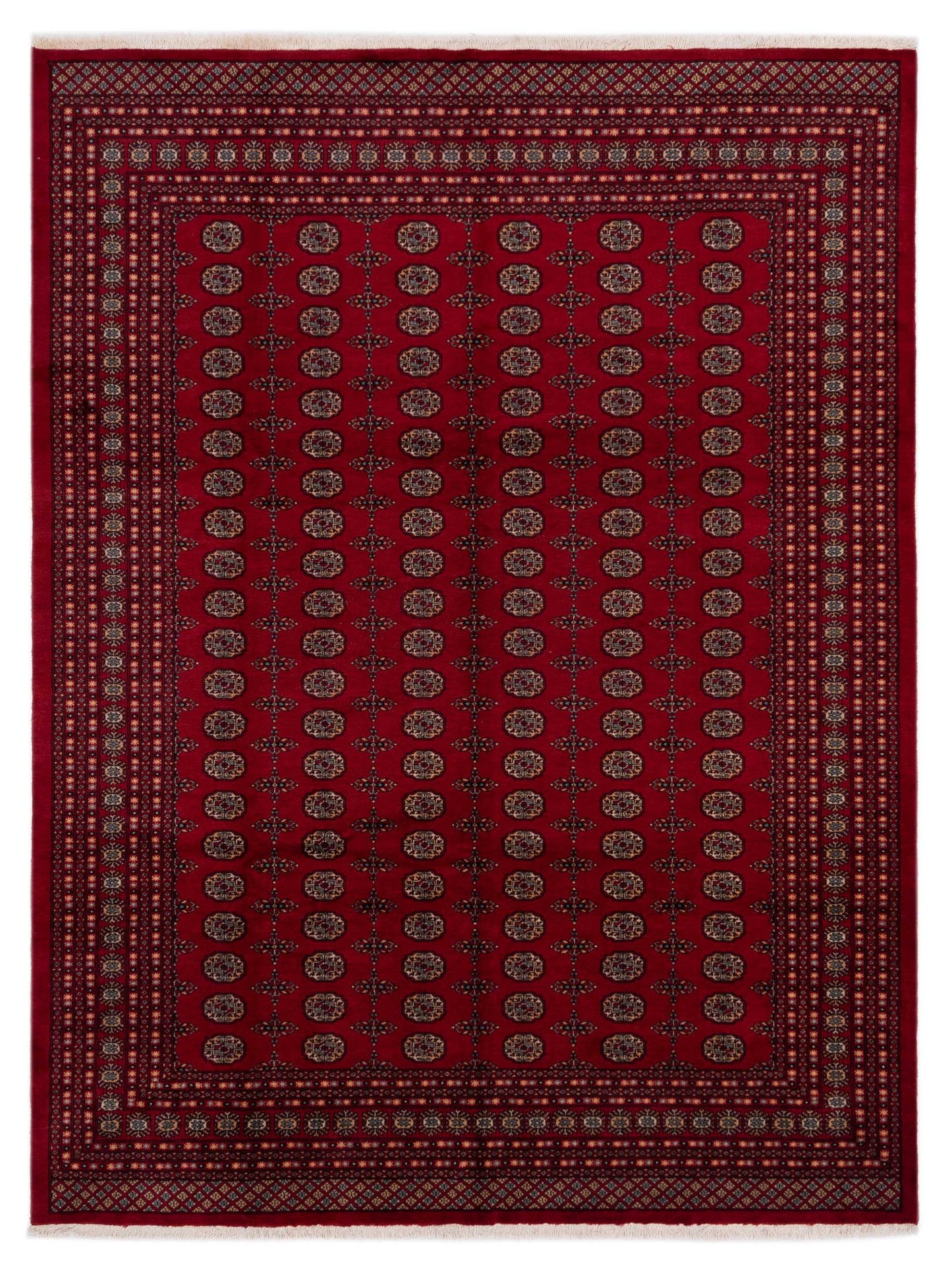 Nomad Bokhara  Red Red Traditional