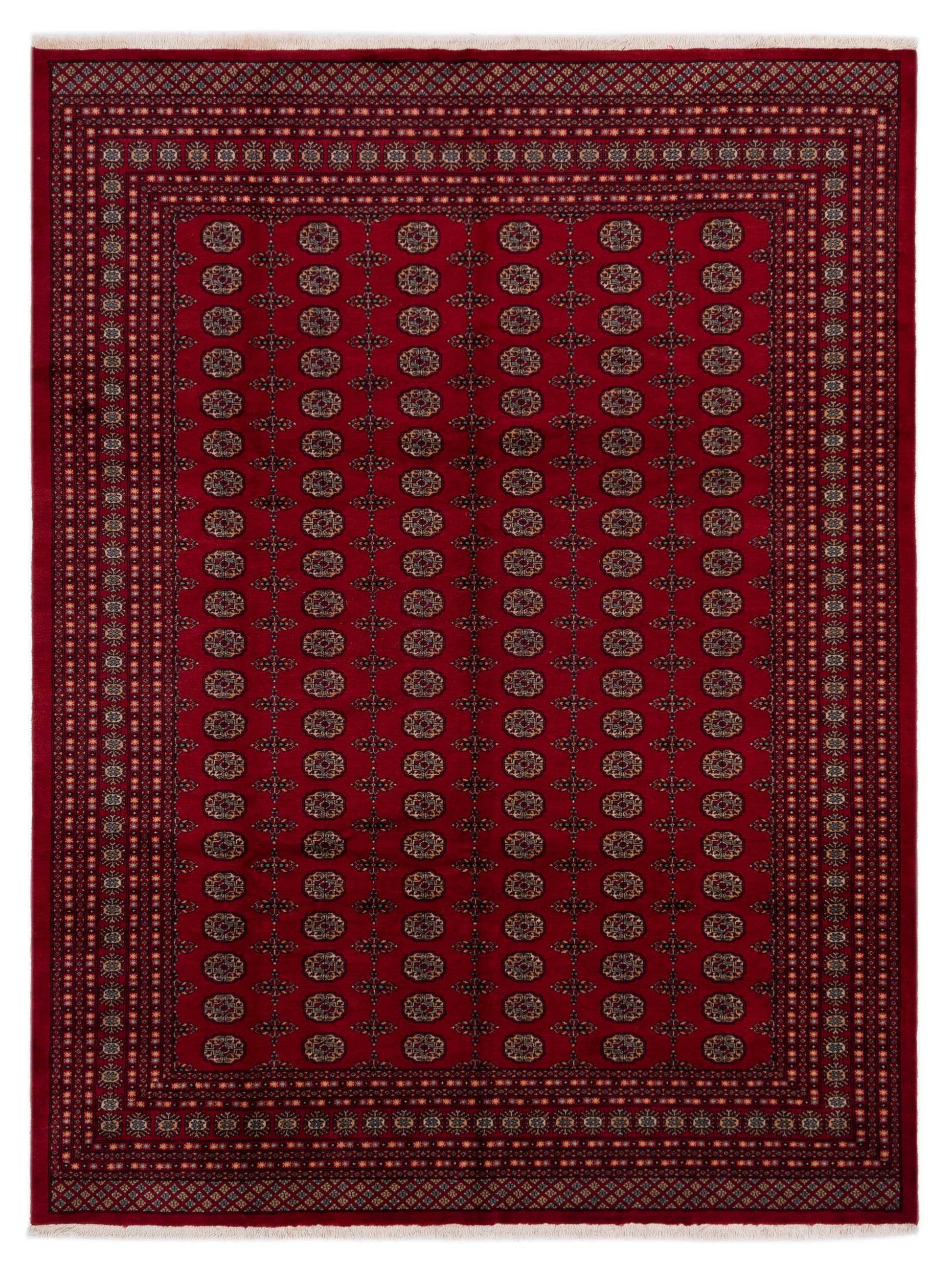 Nomad Bokhara  Red Red Traditional