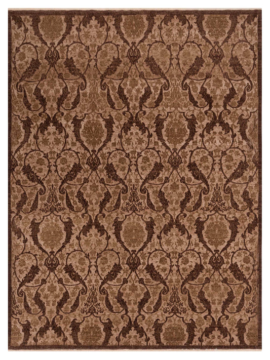 Pasha Defne  Brown Brown Transitional