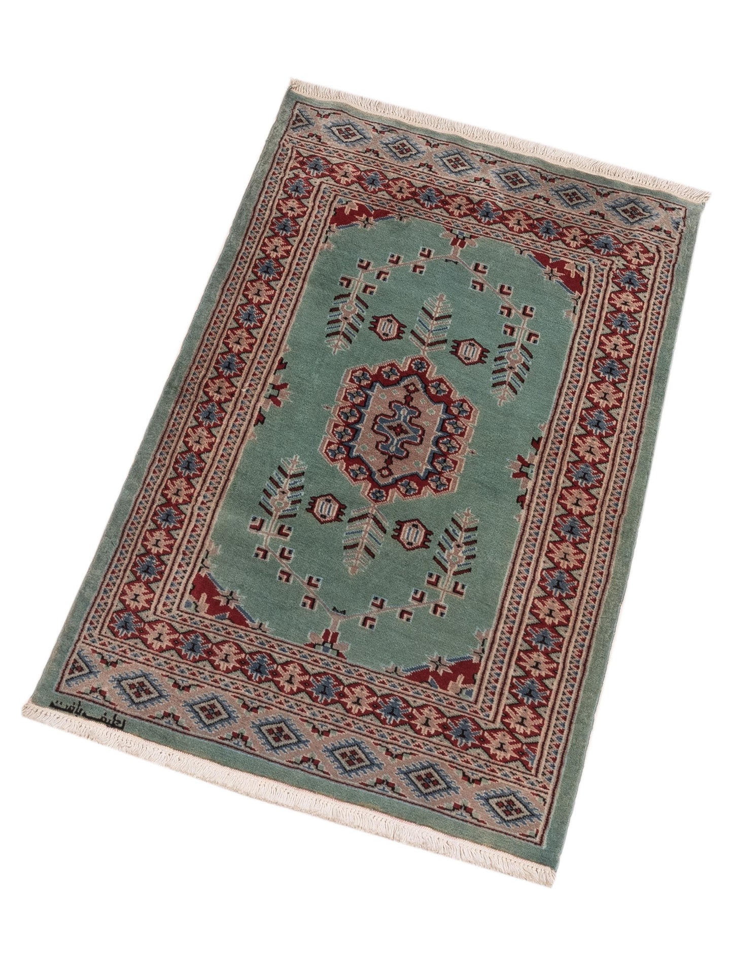 Bokhara Green Beige 2.8x4.10 Hand Knotted Rug