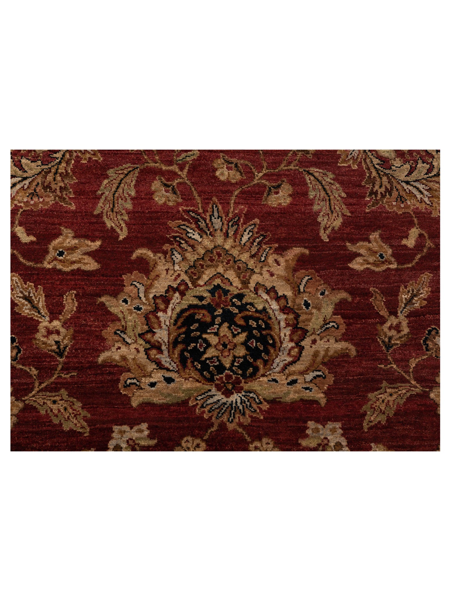Corvella Red Navy 8x10 Hand Knotted Rug