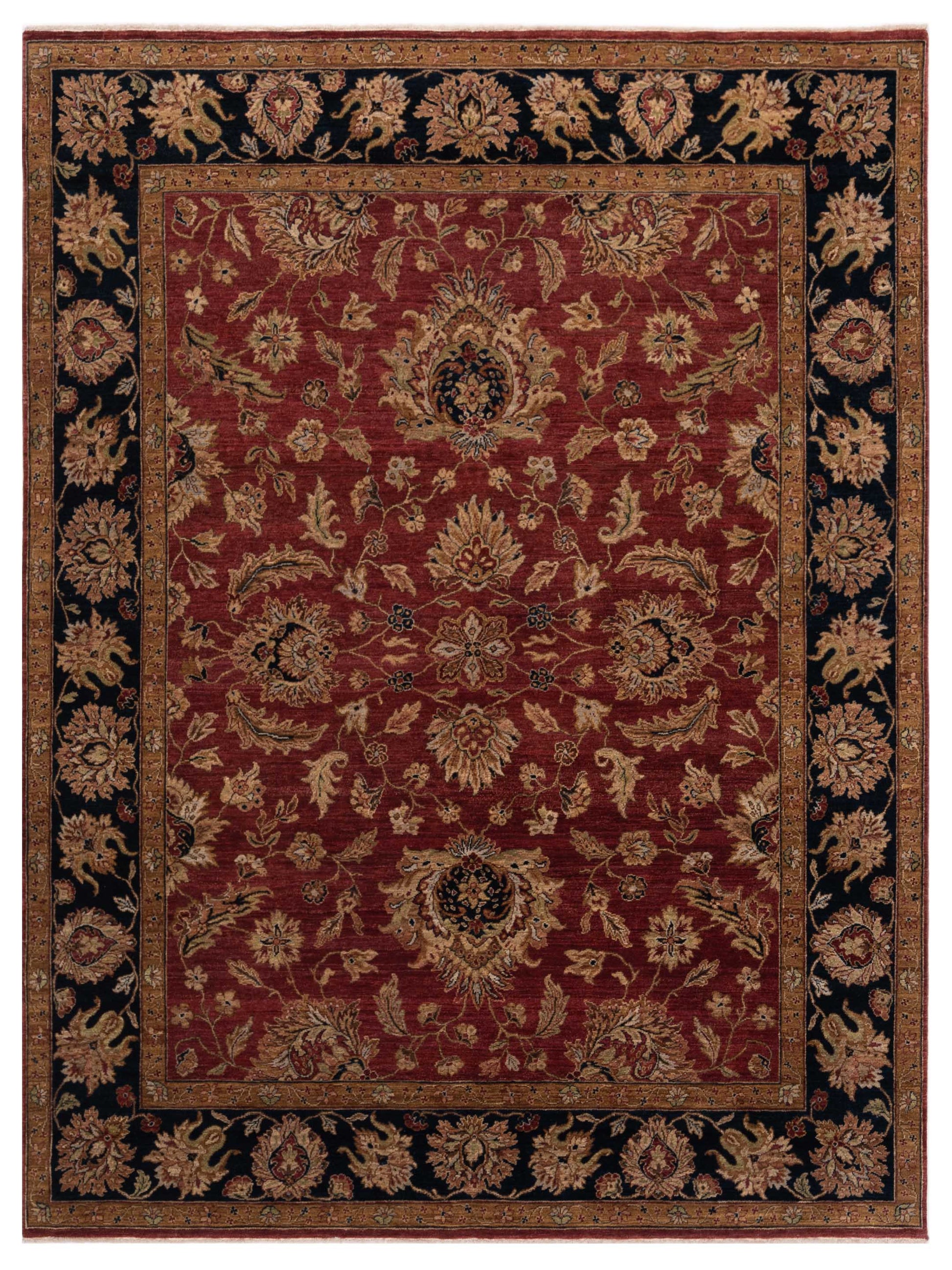 Rajpur Crown  Red Navy Transitional