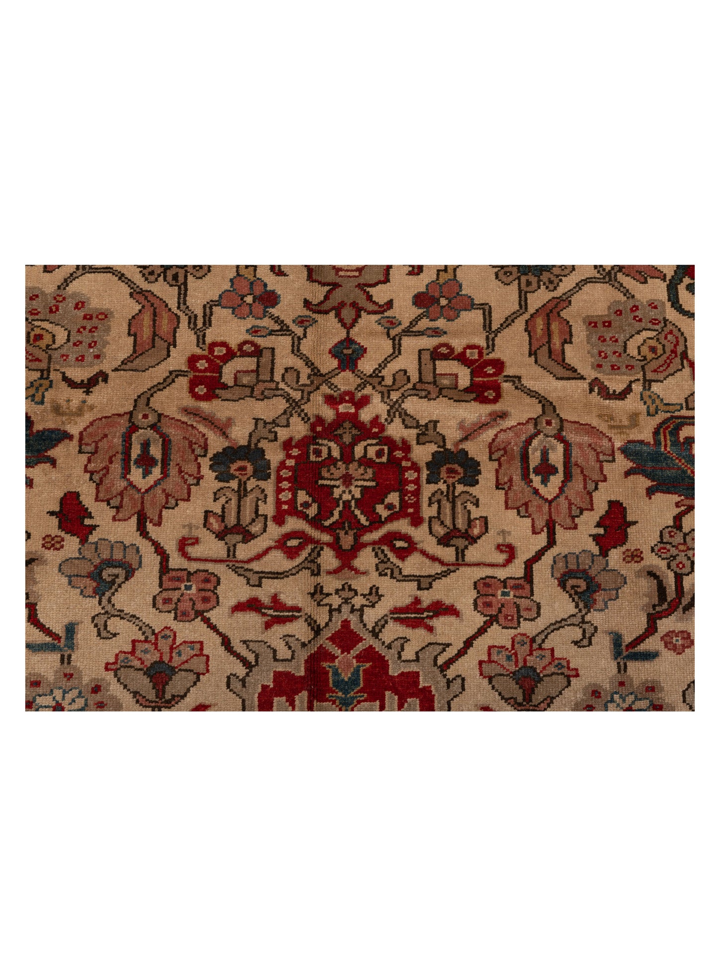 Antiqua Loom Ivory Blue 9.3x11.6 Hand Knotted Rug