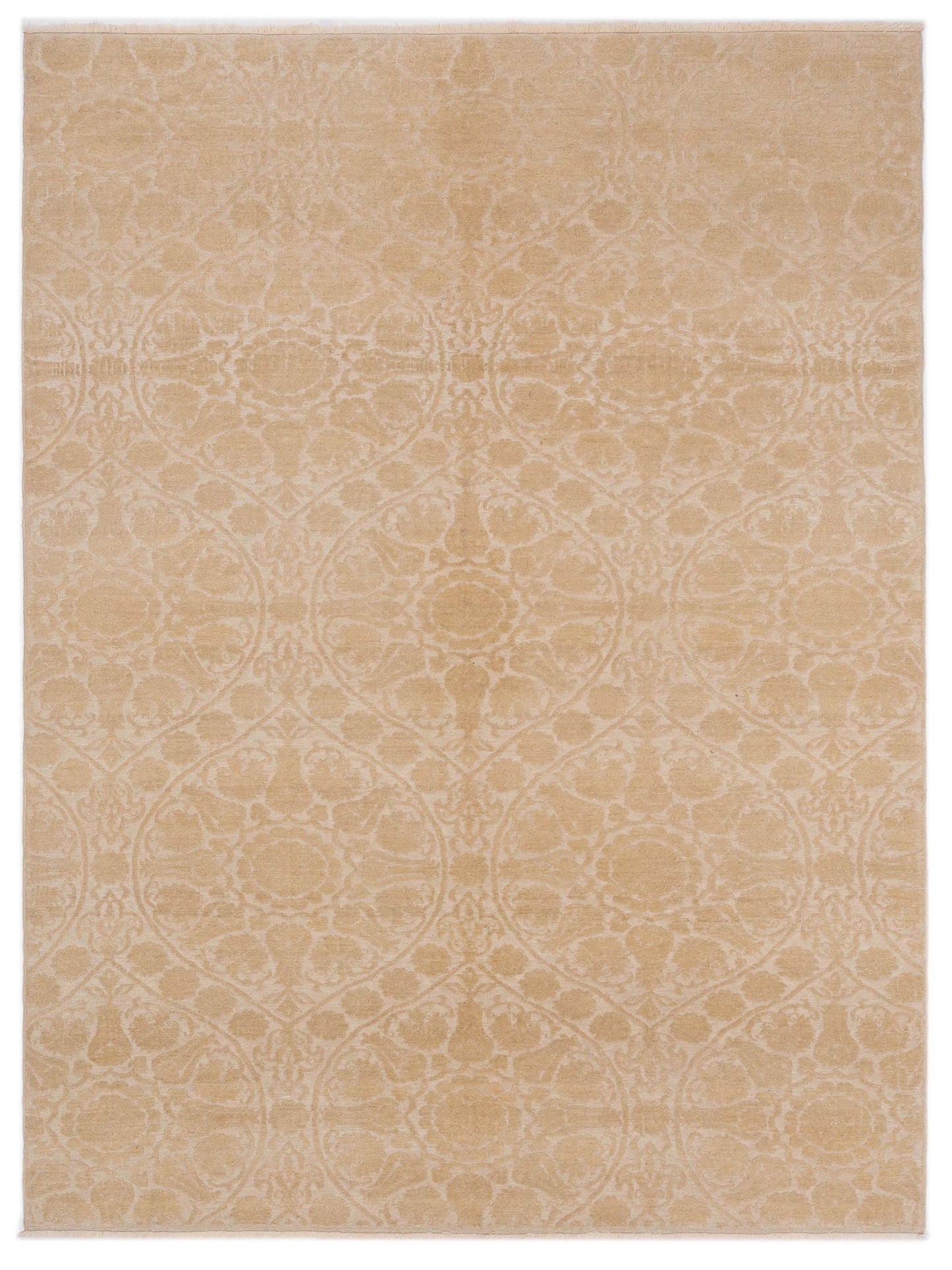 Pasha Defne  Ivory Ivory Transitional