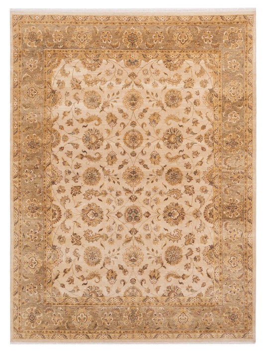 Rajpur Ghazani  Ivory Brown Transitional