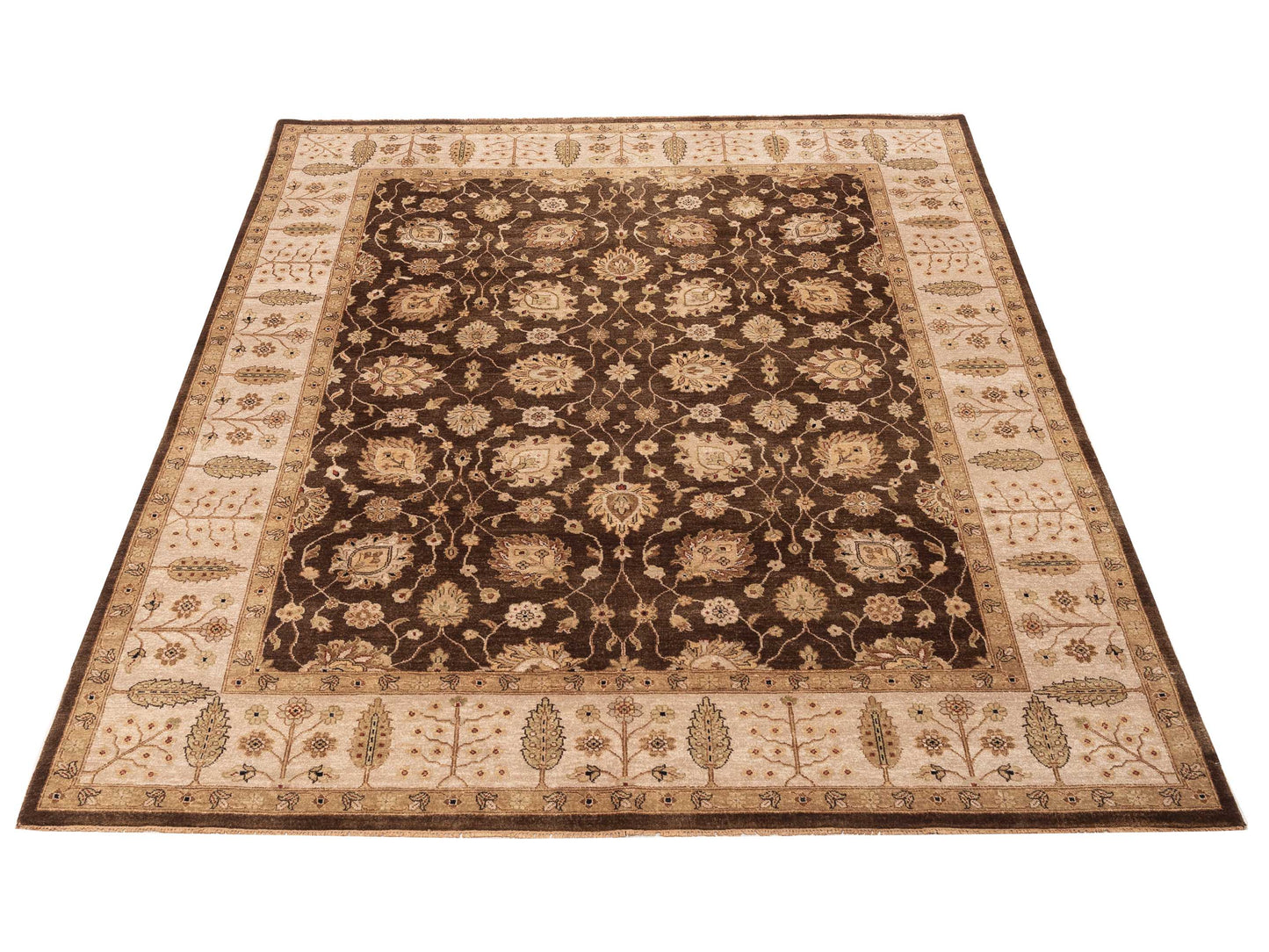 Zardun Brown Ivory 7.11x9.10 Hand Knotted Rug