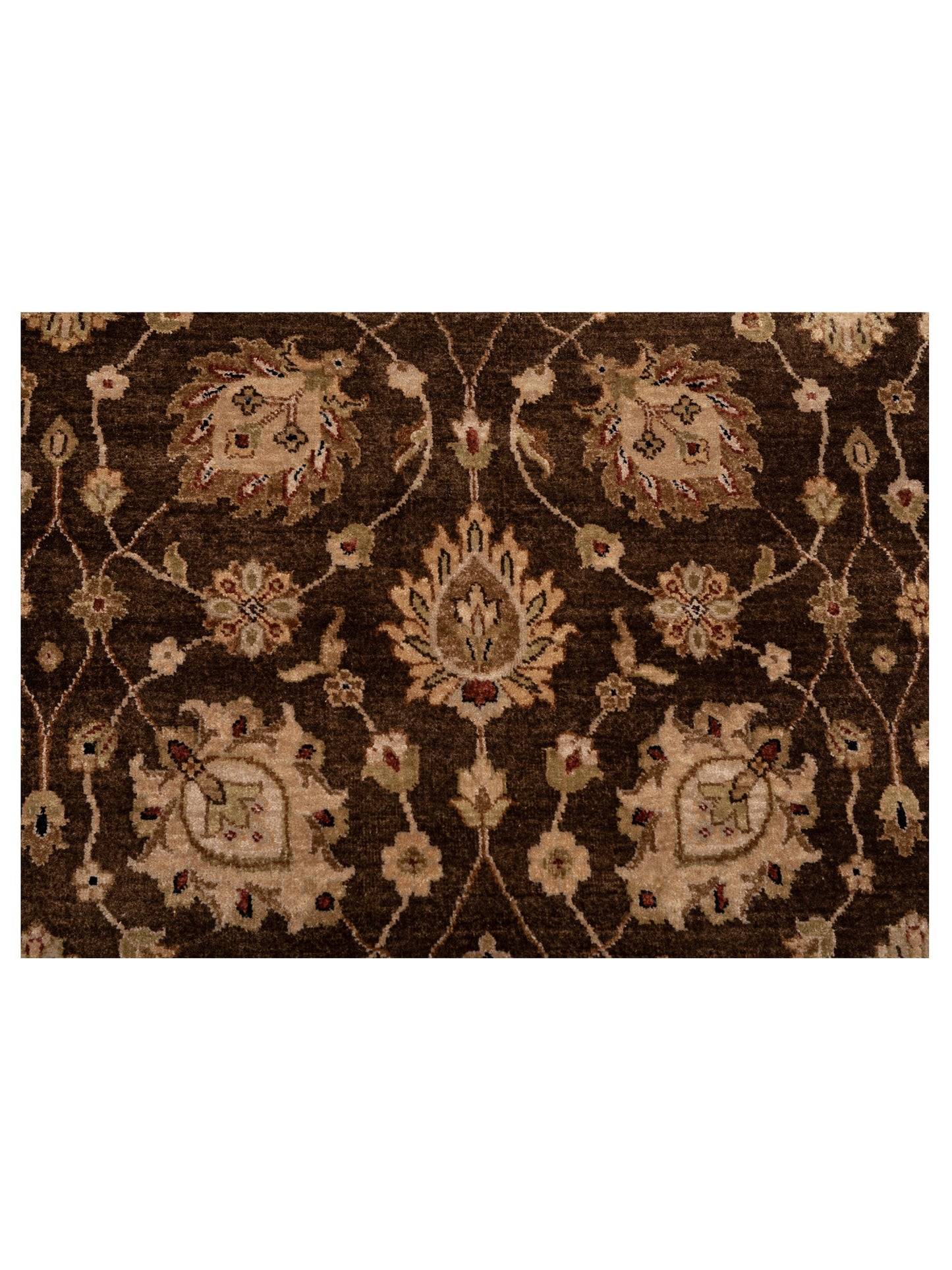 Zardun Brown Ivory 7.11x9.10 Hand Knotted Rug