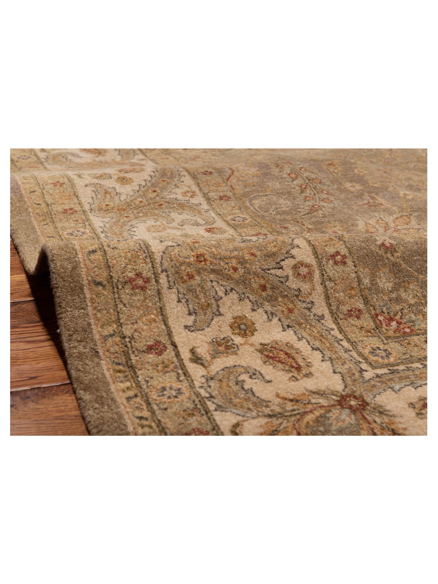 Jallira Brown Ivory 8x10 Hand Knotted Rug