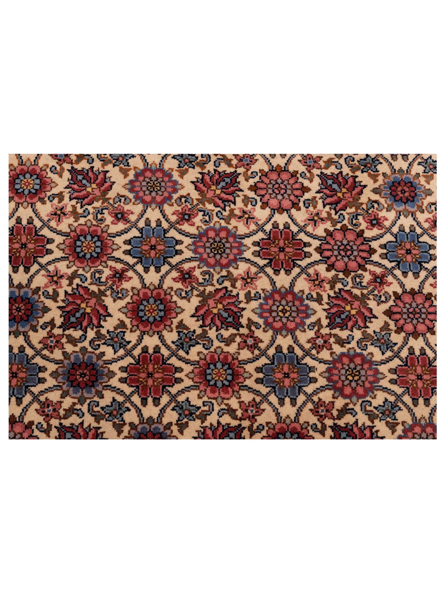 Ladira Ivory Navy 6.7x10.1 Hand Knotted Rug