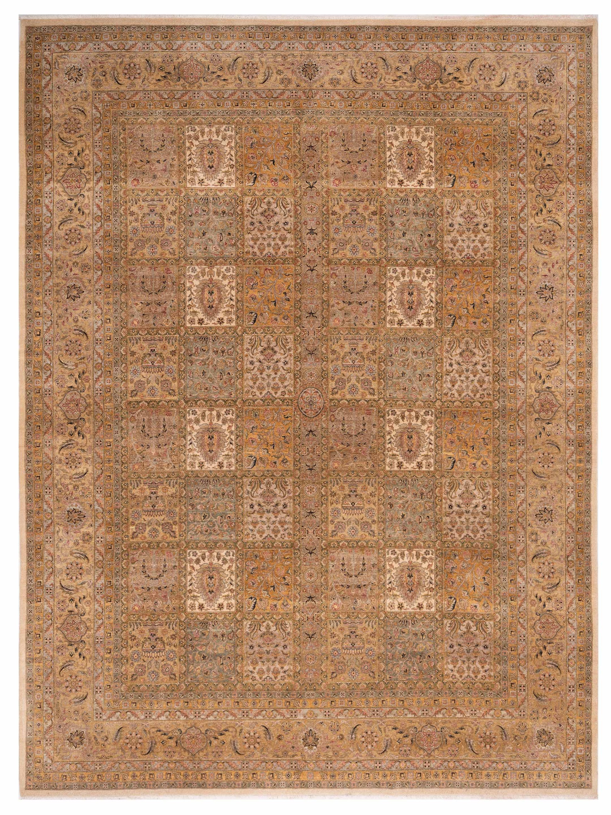 Rajpur Ghazani  Multi Multi Transitional
