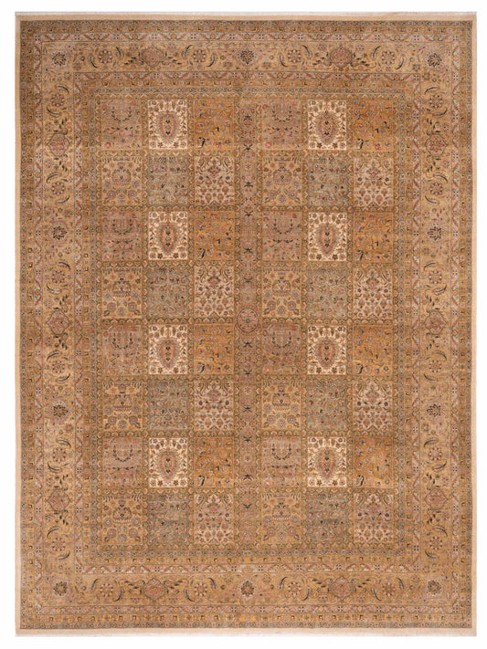 Rajpur Ghazani  Multi Multi Transitional