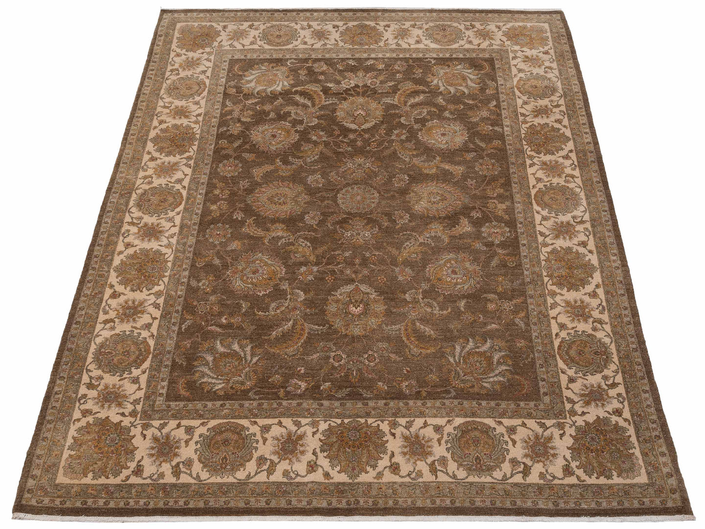 Jallira Brown Ivory 9.1x12 Hand Knotted Rug