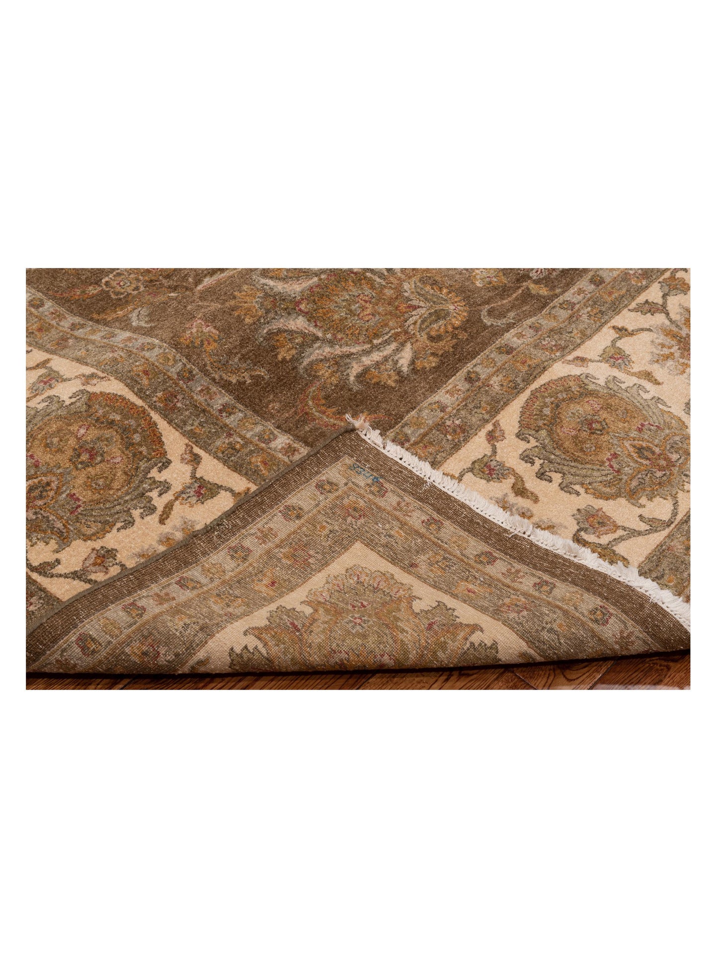 Jallira Brown Ivory 9.1x12 Hand Knotted Rug