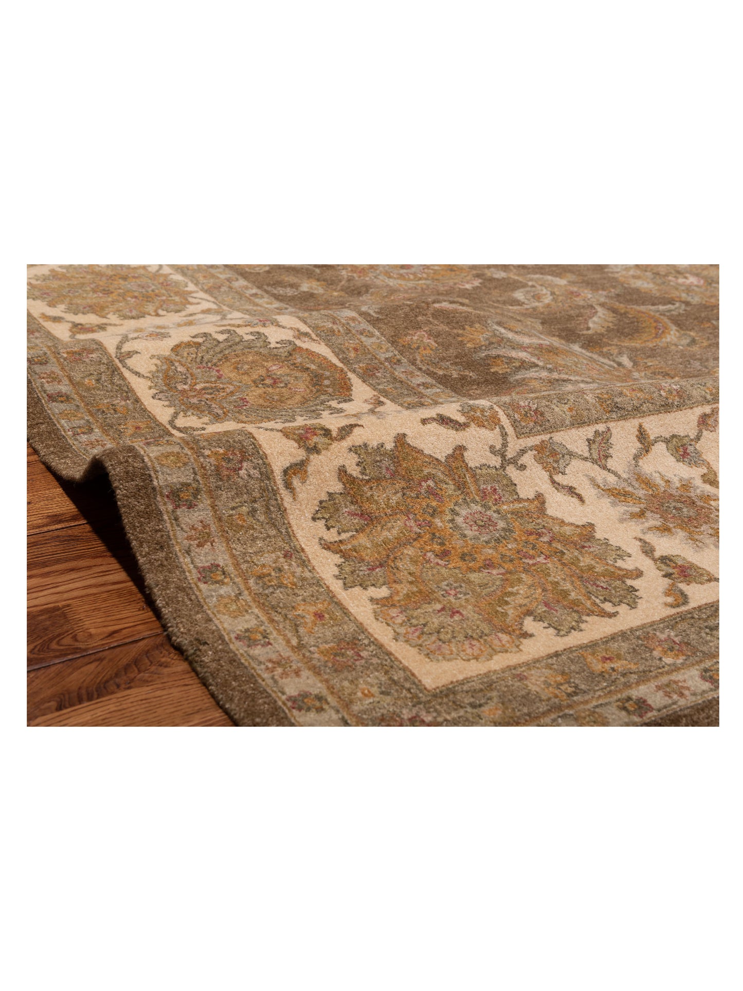 Jallira Brown Ivory 9.1x12 Hand Knotted Rug