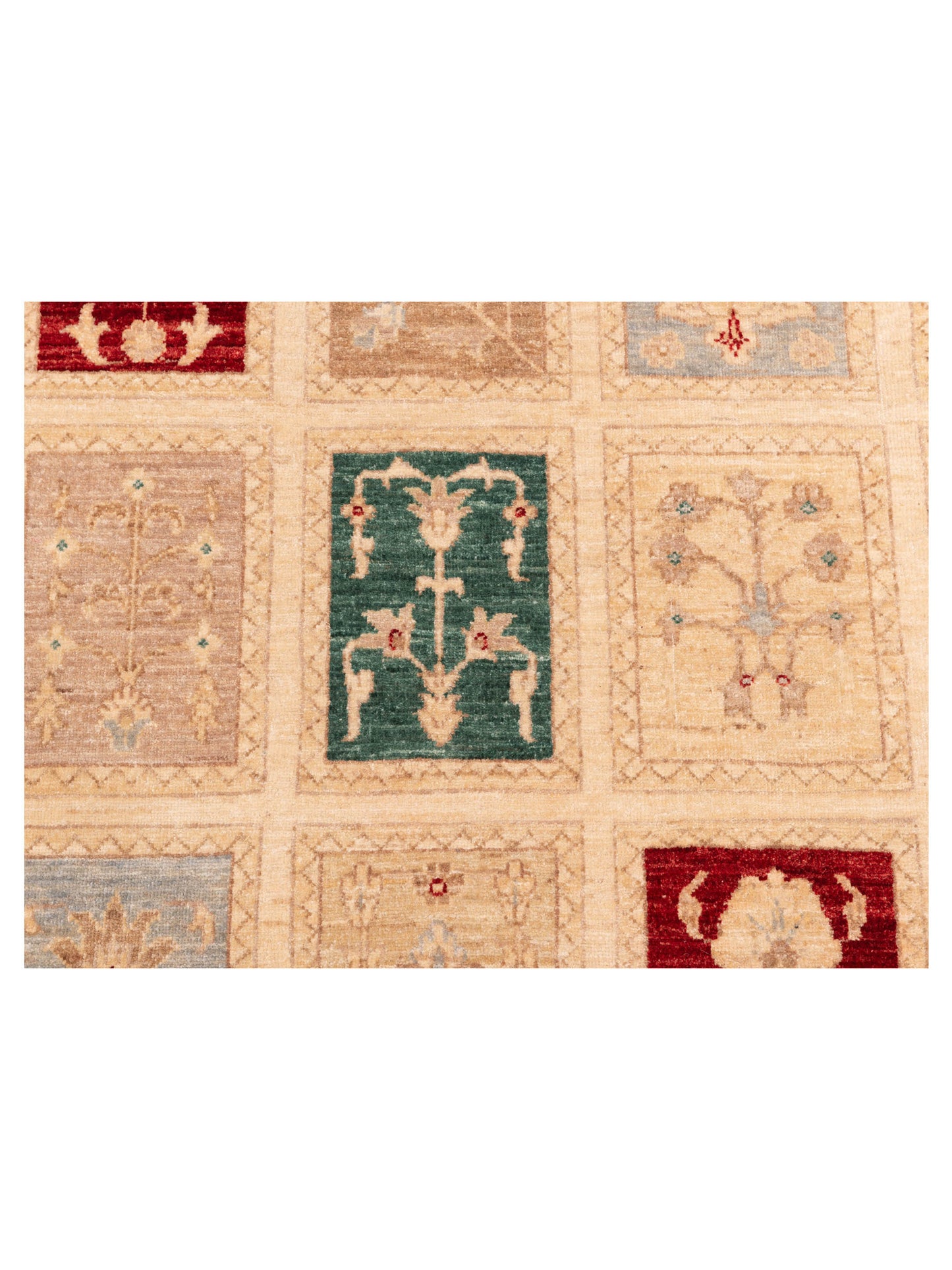 Sabira Multi Multi 6.6x9.7 Hand Knotted Rug