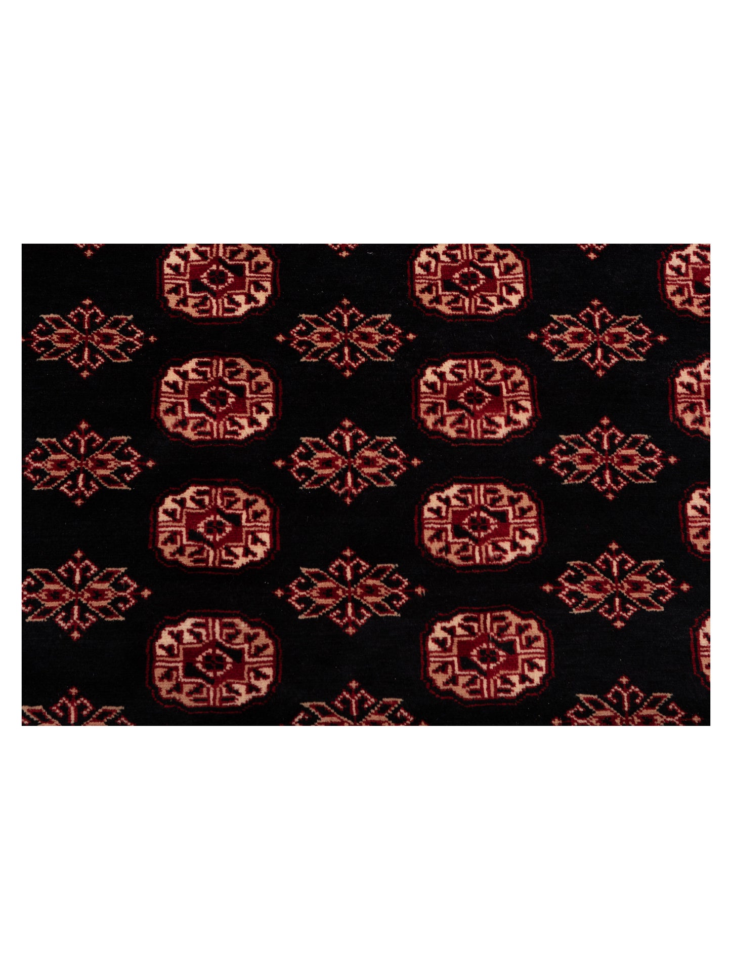 Bokhara Black Red 8x10.4 Hand Knotted Rug