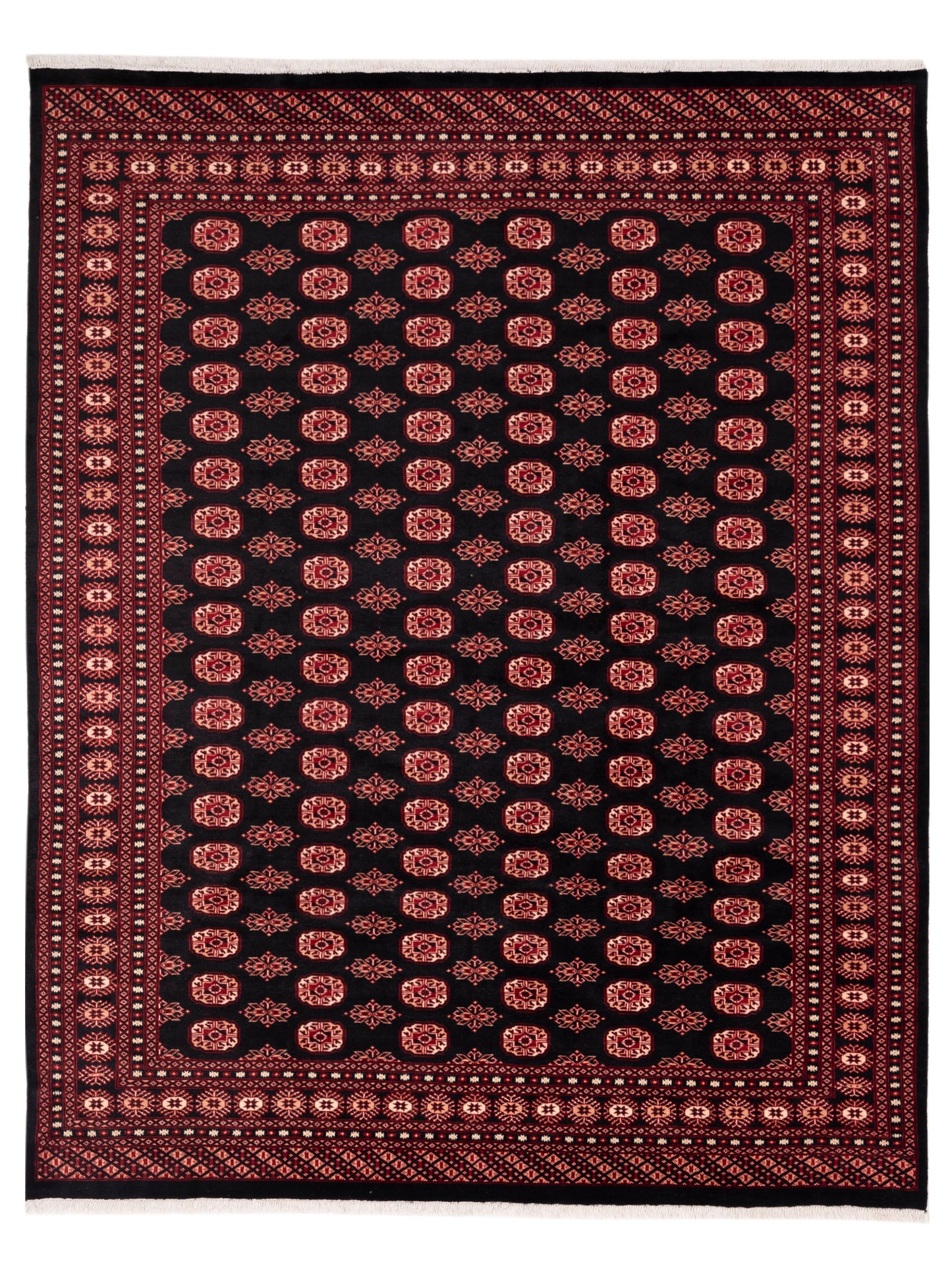 Nomad Bokhara  Black Red Traditional