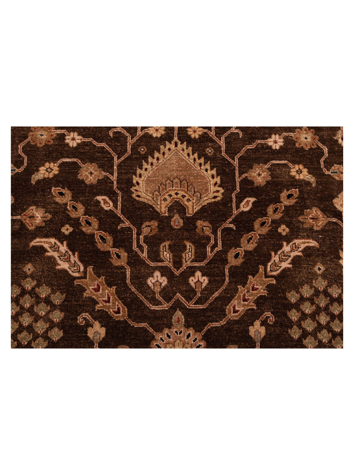 Zardun Dark Green Ivory 9x11.9 Hand Knotted Rug