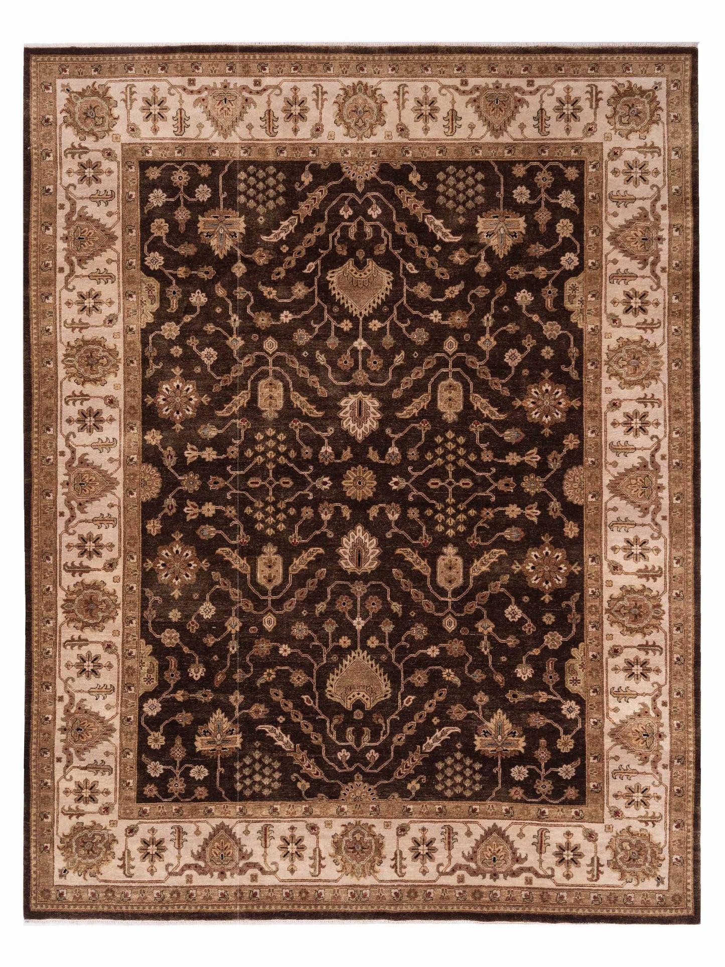 Rajpur Ghazani  Dark Green Ivory Transitional