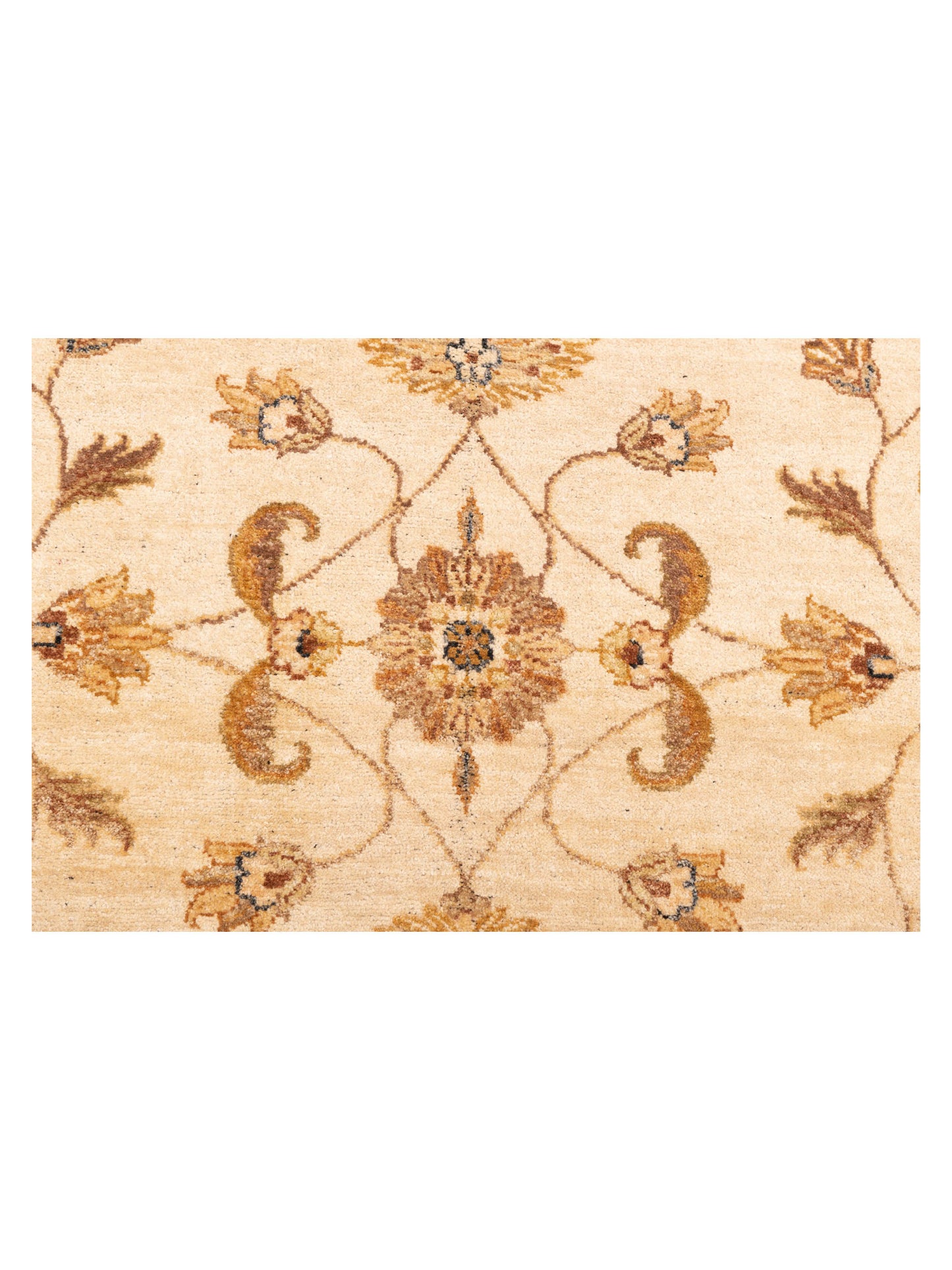Zardun Ivory Light Brown 9x11.8 Hand Knotted Rug