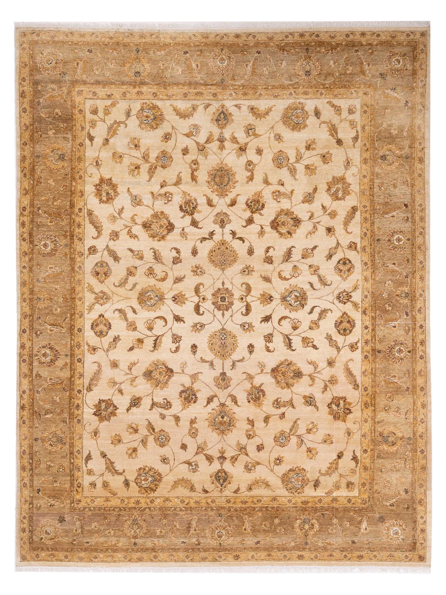 Rajpur Ghazani  Ivory Light Brown Transitional