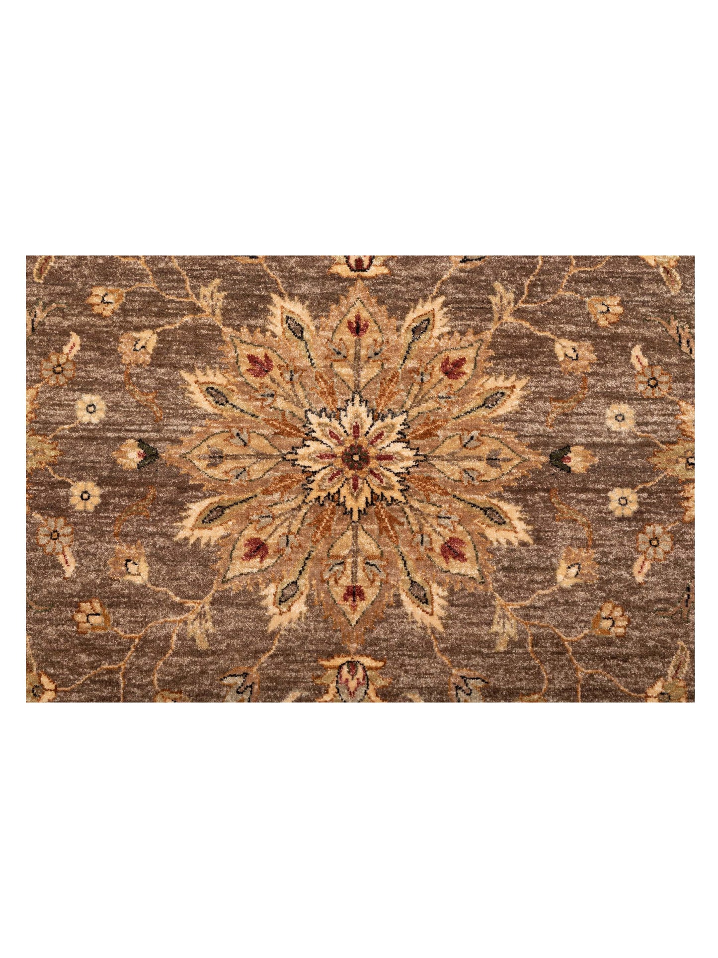 Zardun Brown Ivory 8.11x11.9 Hand Knotted Rug