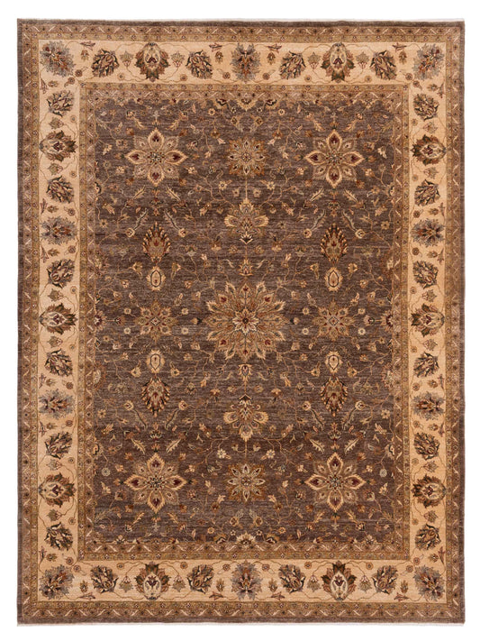 Rajpur Ghazani  Brown Ivory Transitional