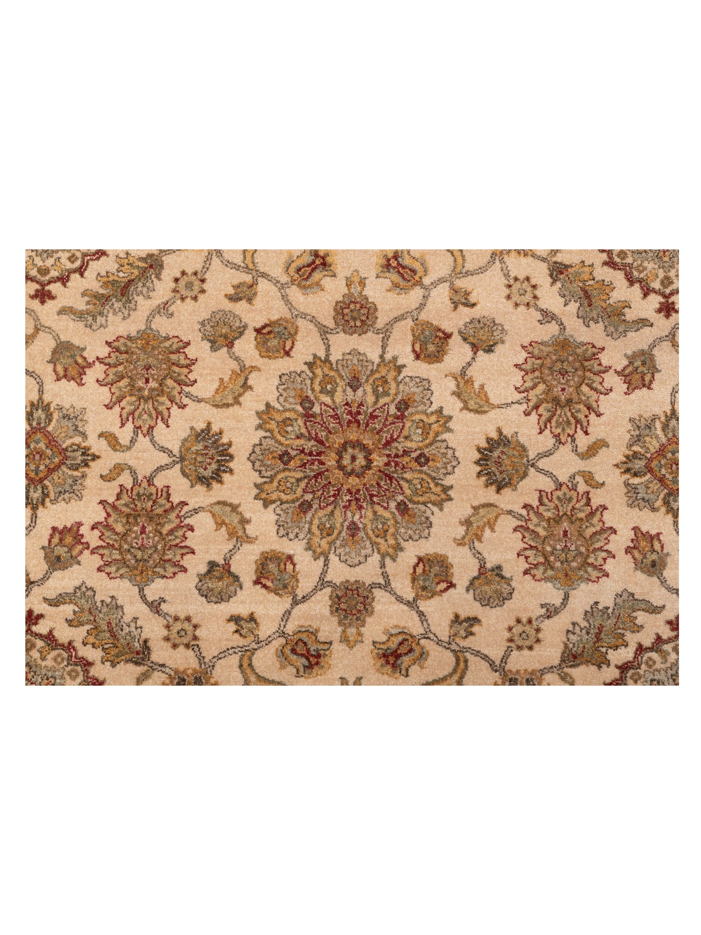 Zardun Ivory Gold 9x12.2 Hand Knotted Rug