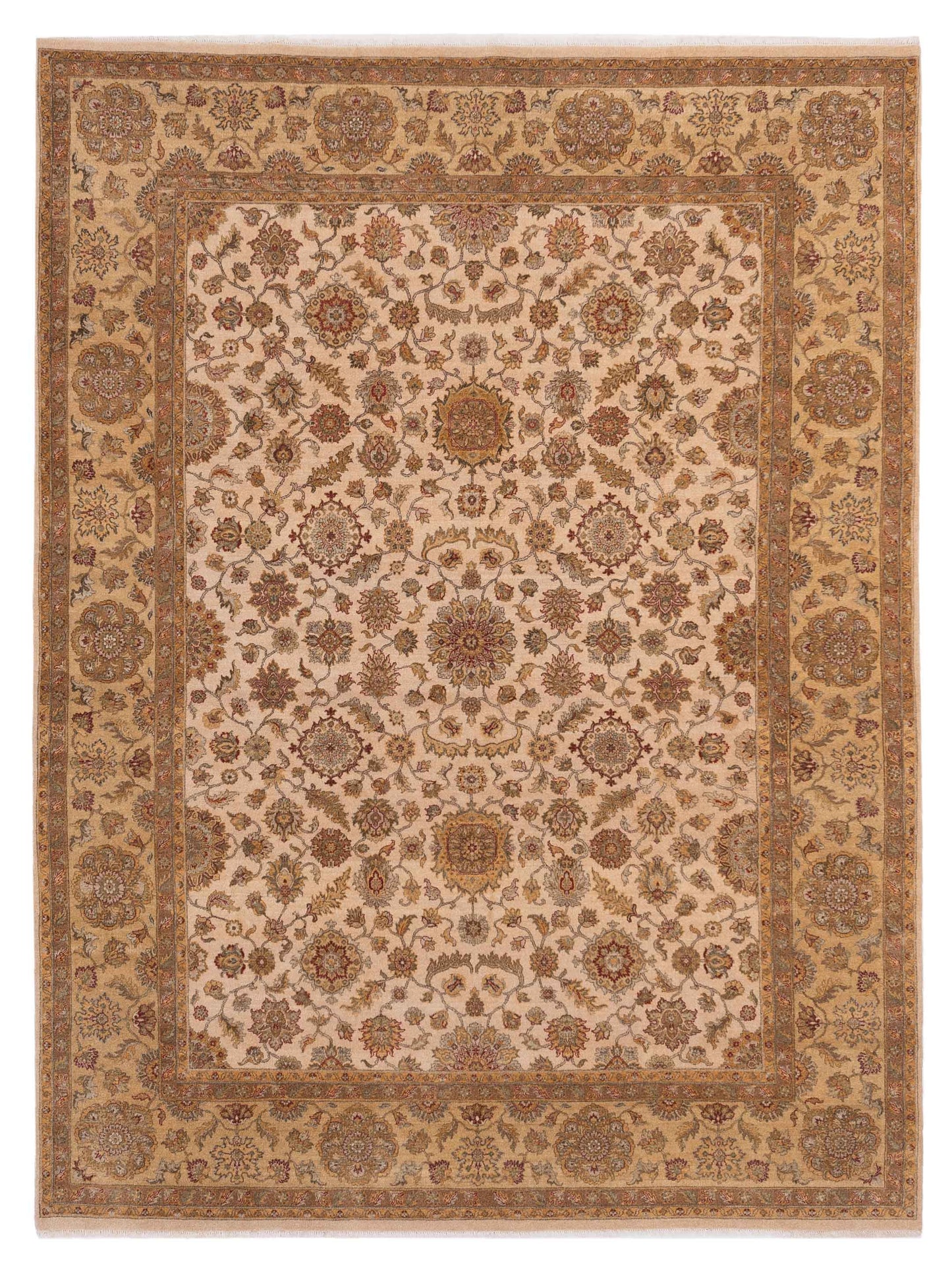 Rajpur Ghazani  Ivory Gold Transitional