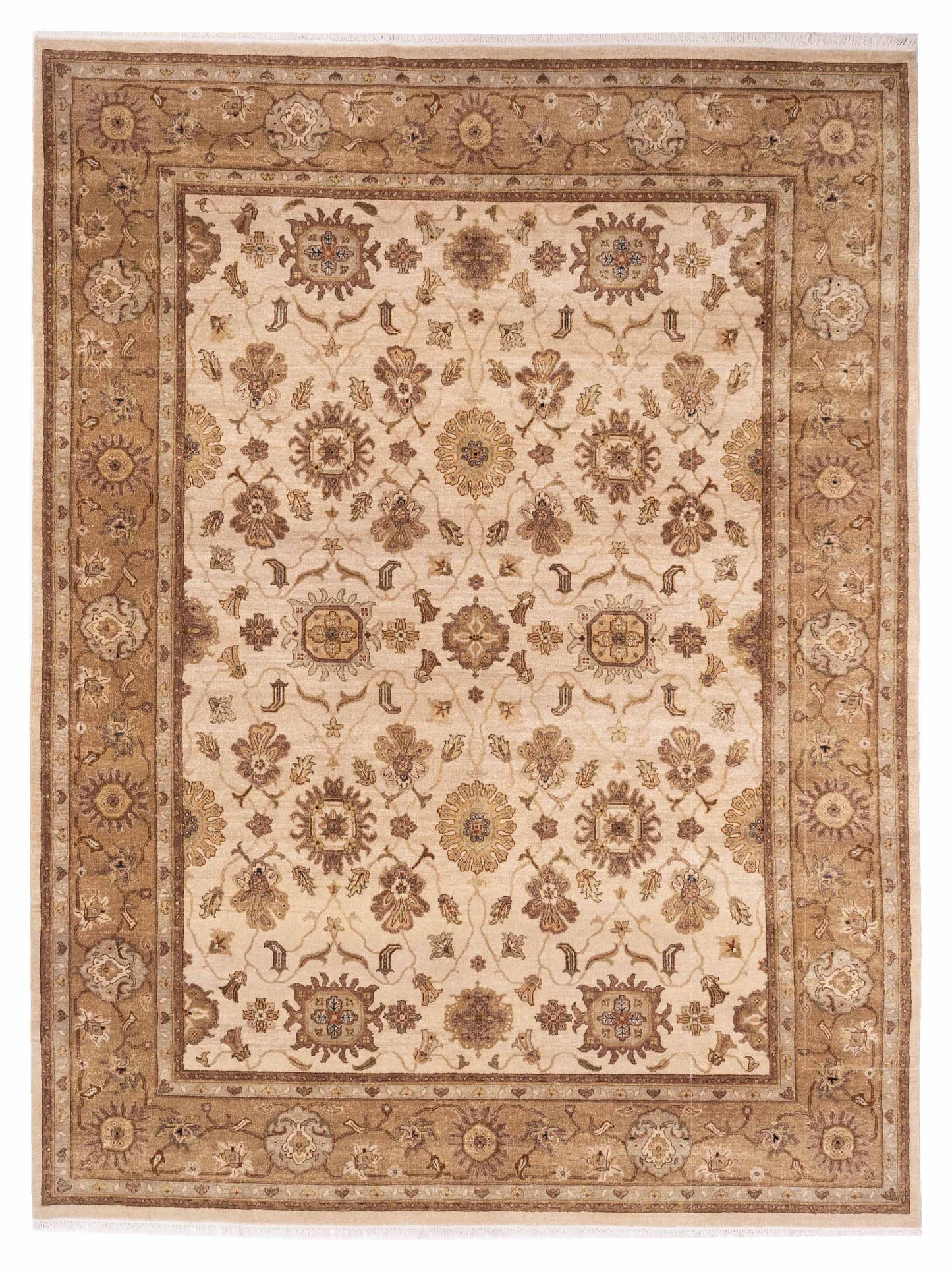Rajpur Ghazani  Ivory Gold Transitional