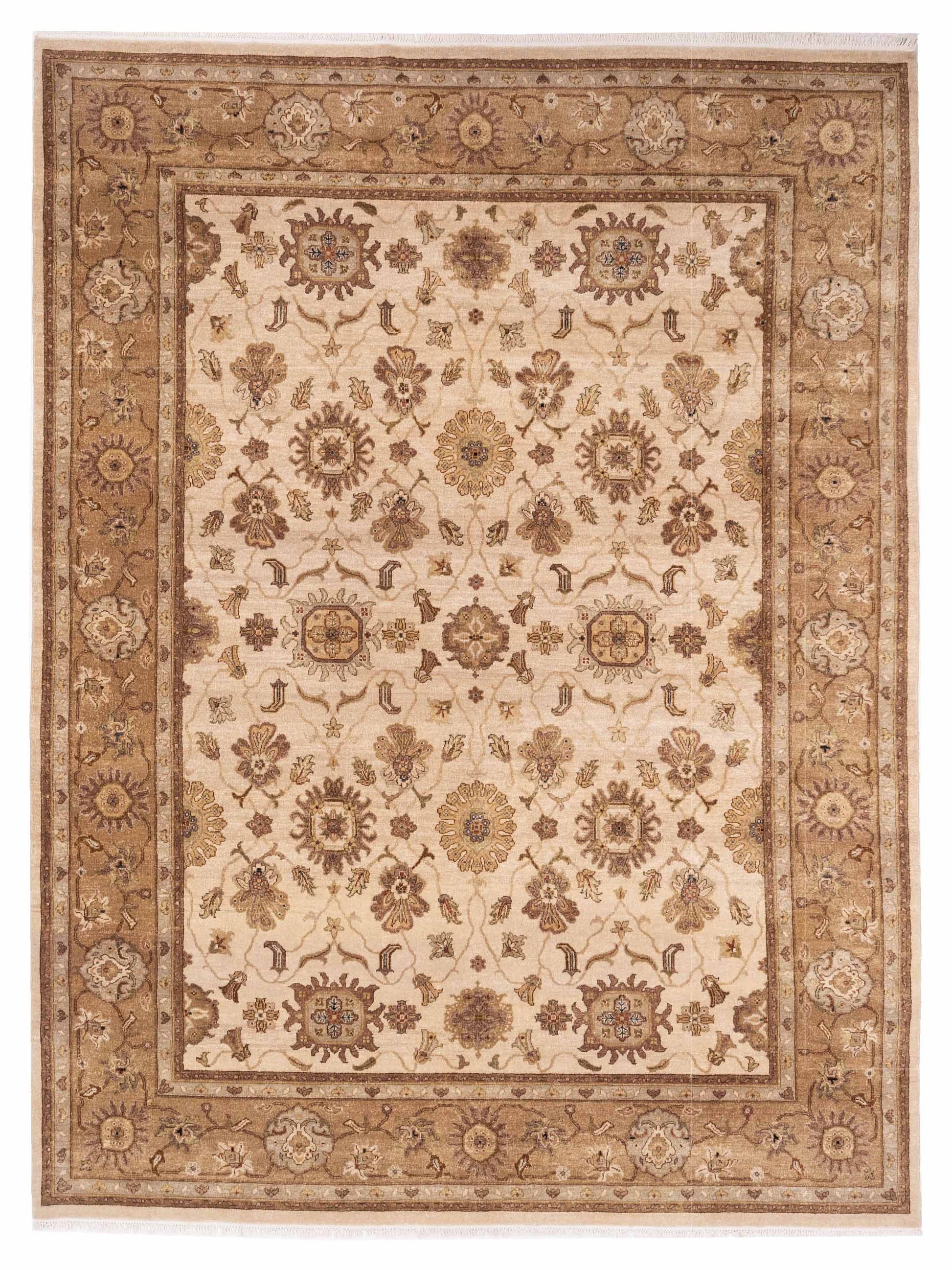 Rajpur Ghazani  Ivory Gold Transitional