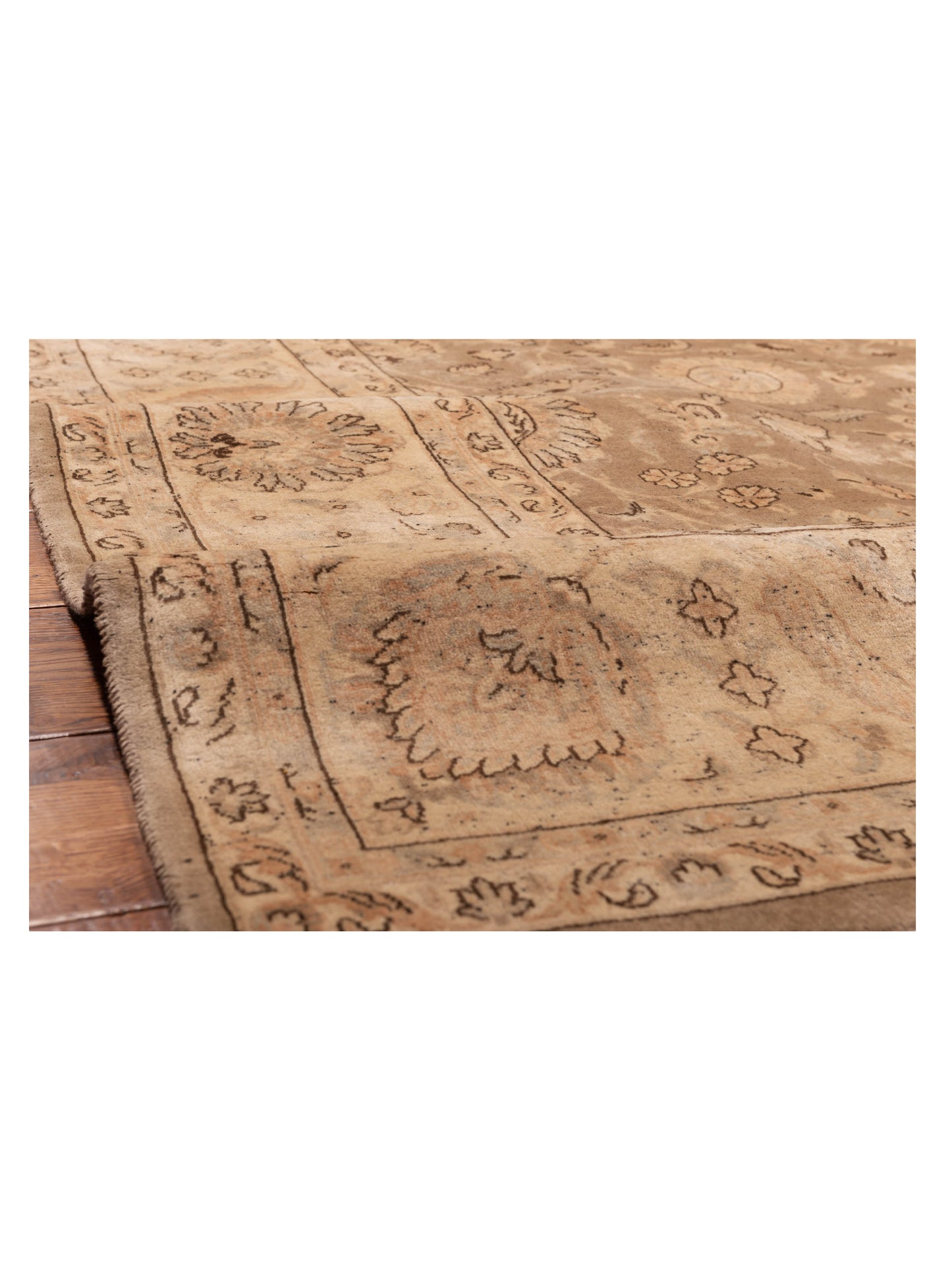 Corvella Brown Beige 9.1x12.2 Hand Knotted Rug