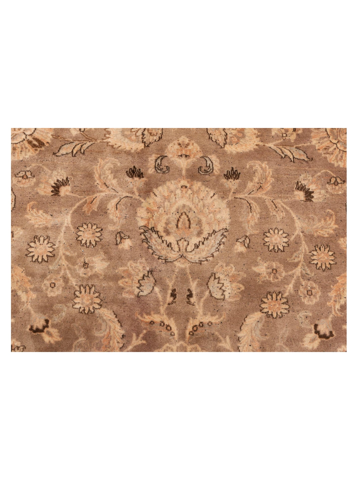 Corvella Brown Beige 9.1x12.2 Hand Knotted Rug